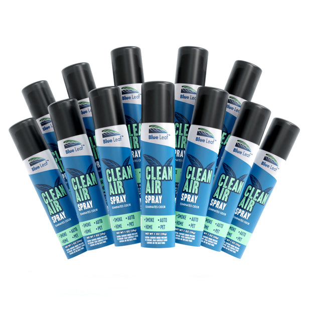 Blue Leaf Clean Air Spray (1oz Travel Size)